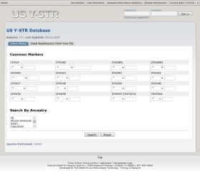 Search Form